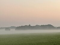 1_IMG_8543