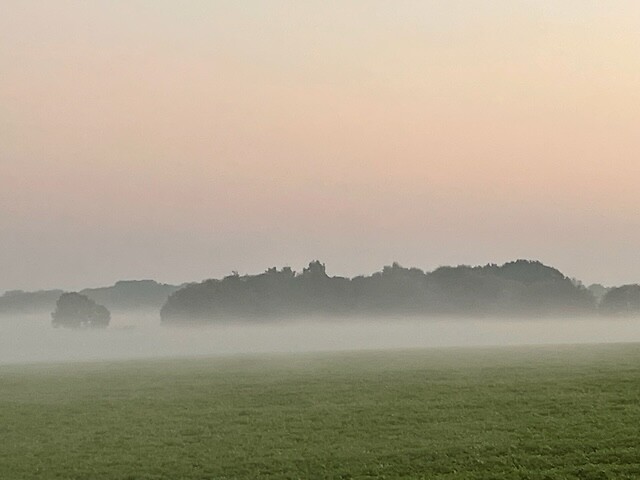 1_IMG_8543