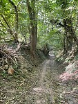 IMG_8569