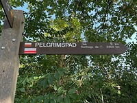 IMG_8577