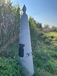 IMG_8584