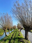 IMG_8825