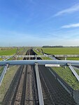 IMG_8826
