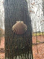 IMG_9111