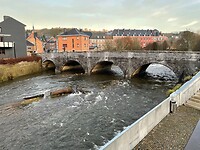 IMG_9113