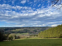 IMG_9129