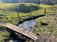 IMG_9757