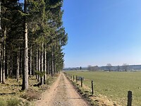 IMG_9758