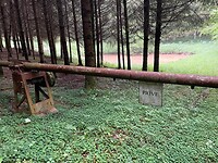 IMG_0536