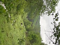 IMG_0537