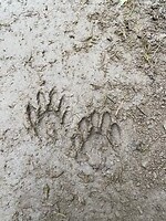 IMG_0538