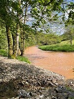 IMG_0543