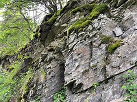 IMG_0546