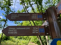 IMG_0558