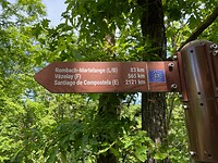 IMG_0560
