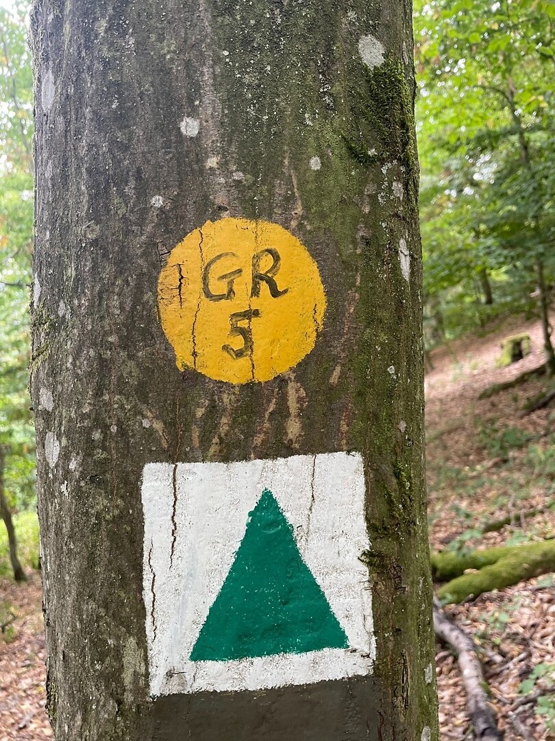 image00021