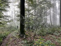 image00008
