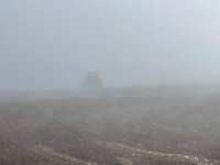 image00009