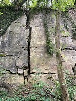 image00013