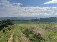 image00011