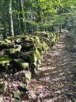 image00004