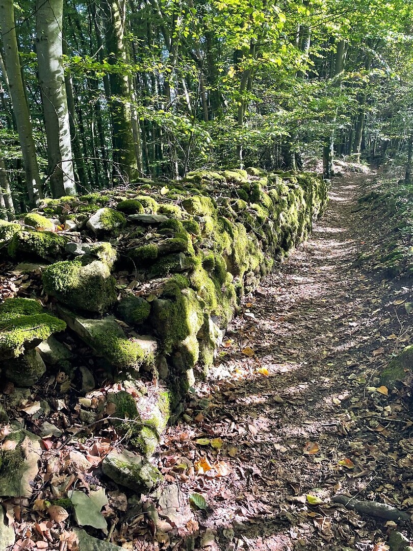 image00004