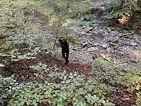 image00007