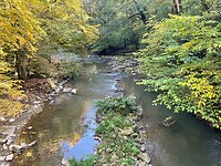image00009