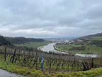 IMG_3504