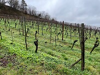 IMG_3506