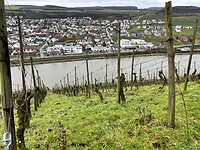 IMG_3507