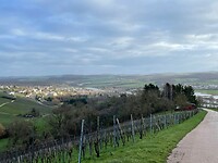 IMG_3527