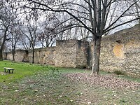 image00015