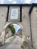 IMG_4547