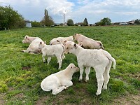 IMG_4551