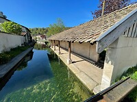 IMG_4592
