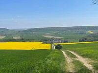 IMG_4598