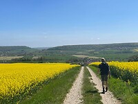 IMG_4602