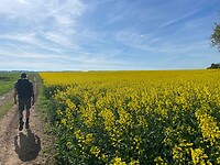 IMG_4617 - Copy
