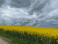 IMG_4647