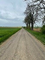 IMG_4650