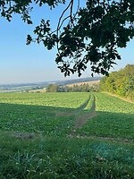 image00015
