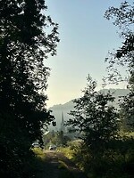 image00018