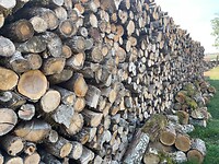 image00007