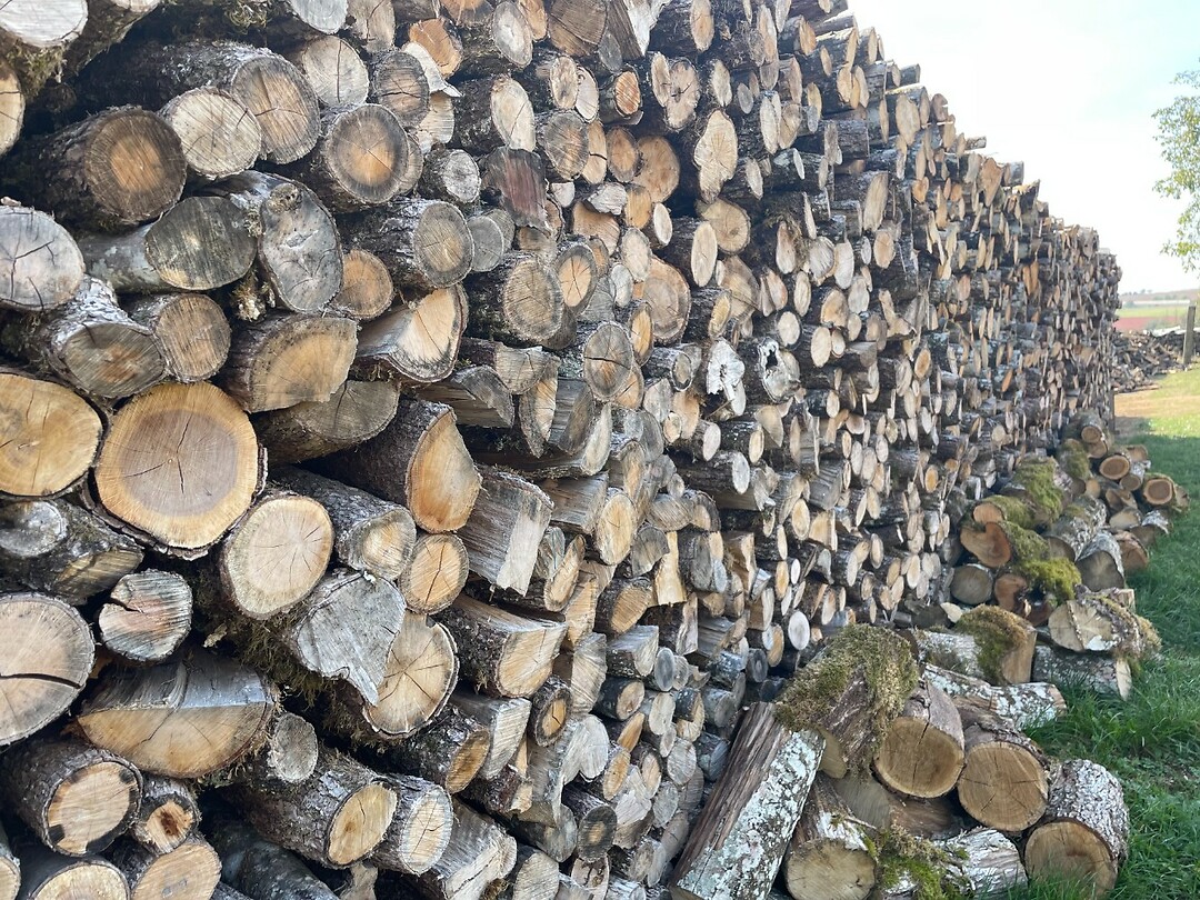 image00007
