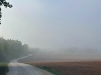 image00010