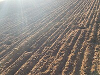 image00014