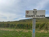 image00006