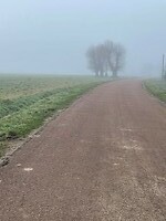 IMG_8130
