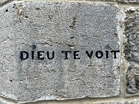 IMG_8182